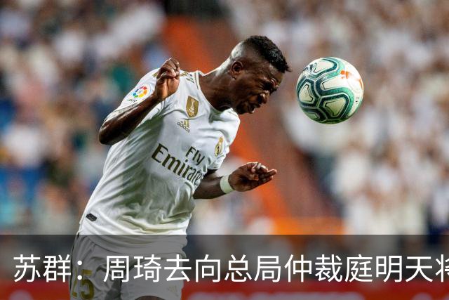 苏群：周琦去向总局仲裁庭明天将会给出结论